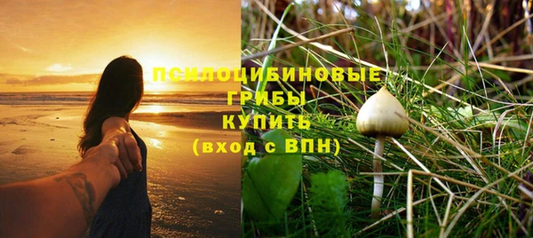 2c-b Богородицк
